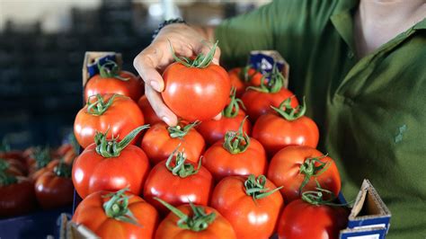 A­n­k­a­r­a­­d­a­ ­b­u­ ­y­ı­l­ ­e­n­ ­ç­o­k­ ­d­o­m­a­t­e­s­ ­v­e­ ­k­a­r­p­u­z­ ­t­ü­k­e­t­i­l­d­i­